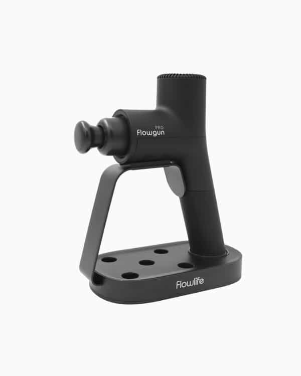 Flowgun Pro 2.0 + Charging Station