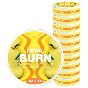 10 x LEWA Functional NoNico BURN Citrus/Mint